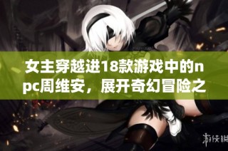 女主穿越进18款游戏中的npc周维安，展开奇幻冒险之旅