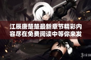江辰唐楚楚最新章节精彩内容尽在免费阅读中等你来发现