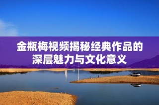 金瓶梅视频揭秘经典作品的深层魅力与文化意义