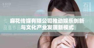 麻花传媒有限公司推动娱乐创新与文化产业发展新模式