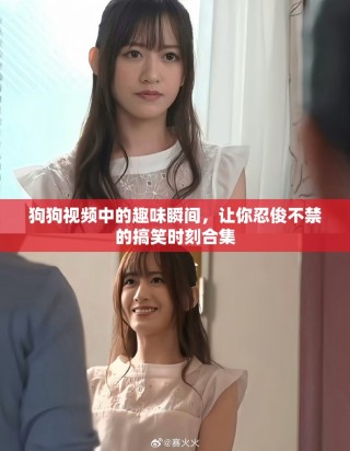 狗狗视频中的趣味瞬间，让你忍俊不禁的搞笑时刻合集