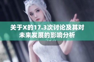关于X的17.3次讨论及其对未来发展的影响分析
