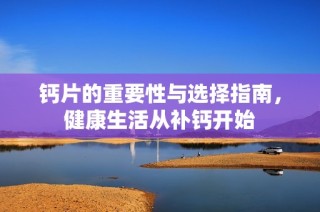 钙片的重要性与选择指南，健康生活从补钙开始