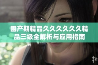 围产期精品久久久久久久精品三级全解析与应用指南