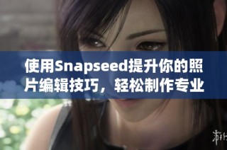 使用Snapseed提升你的照片编辑技巧，轻松制作专业效果