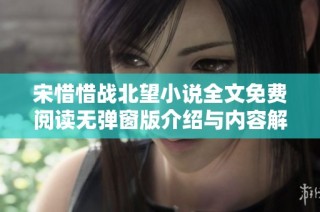 宋惜惜战北望小说全文免费阅读无弹窗版介绍与内容解析