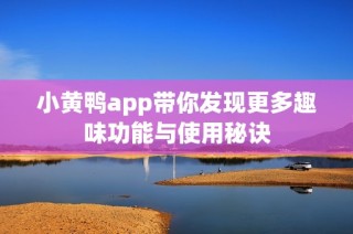 小黄鸭app带你发现更多趣味功能与使用秘诀
