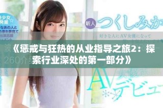 《惩戒与狂热的从业指导之旅2：探索行业深处的第一部分》