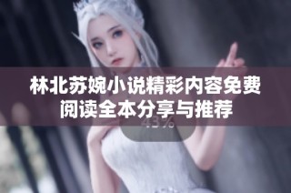 林北苏婉小说精彩内容免费阅读全本分享与推荐