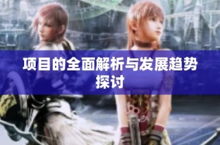 项目的全面解析与发展趋势探讨