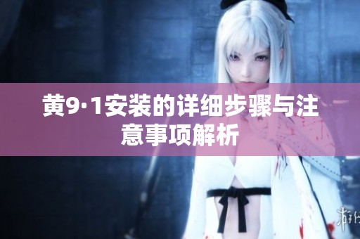 黄9·1安装的详细步骤与注意事项解析