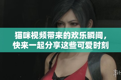 猫咪视频带来的欢乐瞬间，快来一起分享这些可爱时刻吧