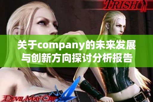 关于company的未来发展与创新方向探讨分析报告
