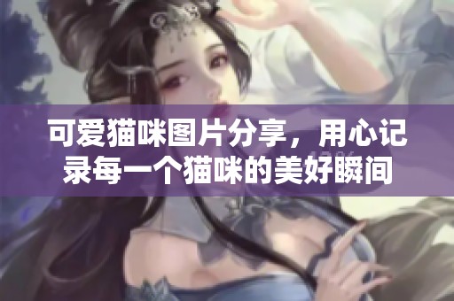 可爱猫咪图片分享，用心记录每一个猫咪的美好瞬间