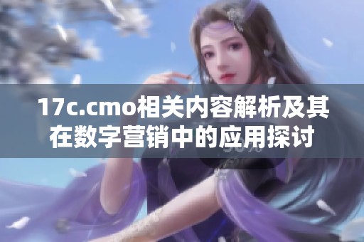 17c.cmo相关内容解析及其在数字营销中的应用探讨