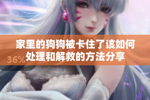 家里的狗狗被卡住了该如何处理和解救的方法分享