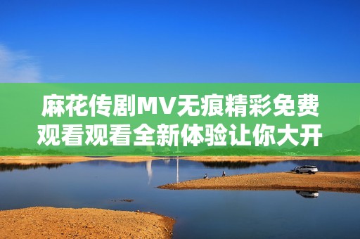 麻花传剧MV无痕精彩免费观看观看全新体验让你大开眼界