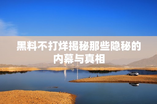 黑料不打烊揭秘那些隐秘的内幕与真相