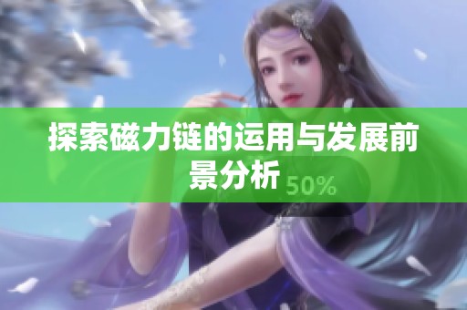 探索磁力链的运用与发展前景分析