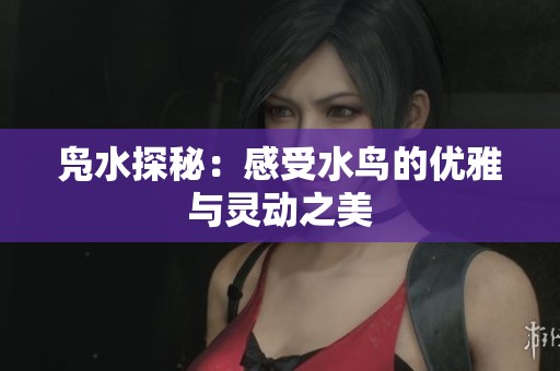 凫水探秘：感受水鸟的优雅与灵动之美