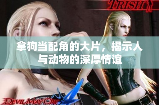 拿狗当配角的大片，揭示人与动物的深厚情谊