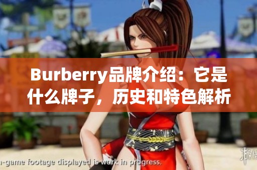 Burberry品牌介绍：它是什么牌子，历史和特色解析