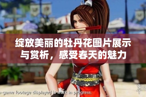 绽放美丽的牡丹花图片展示与赏析，感受春天的魅力