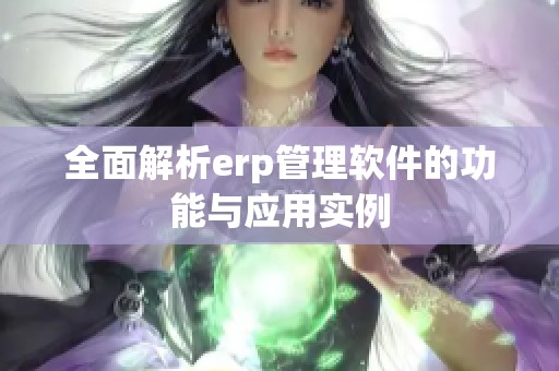 全面解析erp管理软件的功能与应用实例
