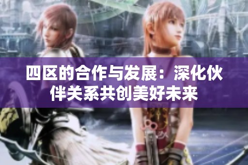 四区的合作与发展：深化伙伴关系共创美好未来