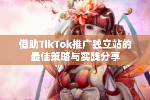 借助TikTok推广独立站的最佳策略与实践分享