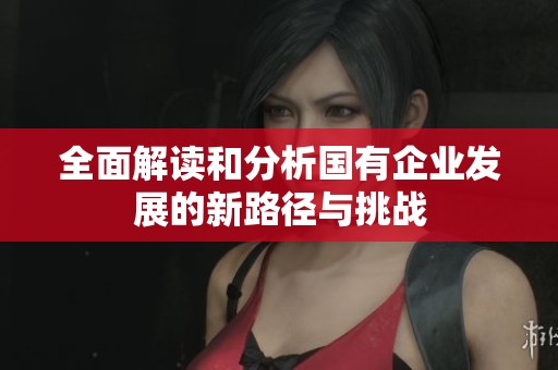 全面解读和分析国有企业发展的新路径与挑战