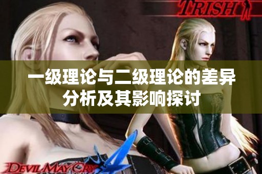 一级理论与二级理论的差异分析及其影响探讨