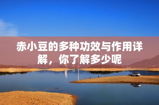 赤小豆的多种功效与作用详解，你了解多少呢