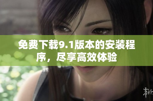 免费下载9.1版本的安装程序，尽享高效体验