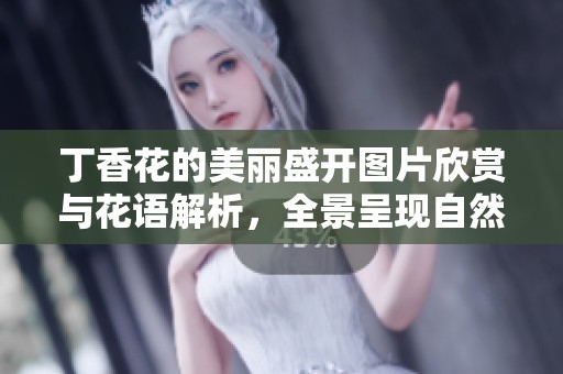 丁香花的美丽盛开图片欣赏与花语解析，全景呈现自然魅力