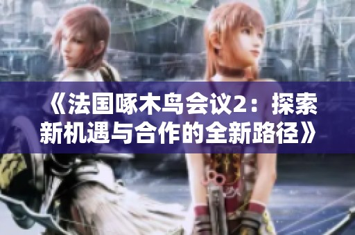 《法国啄木鸟会议2：探索新机遇与合作的全新路径》