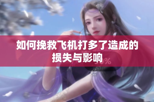 如何挽救飞机打多了造成的损失与影响