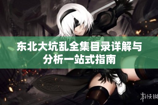 东北大坑乱全集目录详解与分析一站式指南