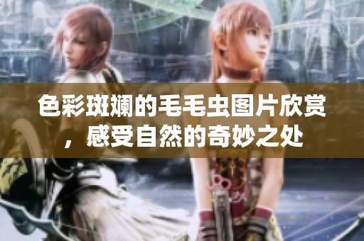 色彩斑斓的毛毛虫图片欣赏，感受自然的奇妙之处