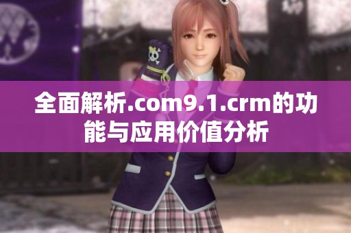 全面解析.com9.1.crm的功能与应用价值分析