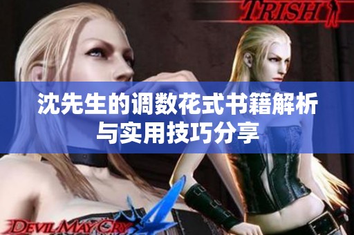 沈先生的调数花式书籍解析与实用技巧分享