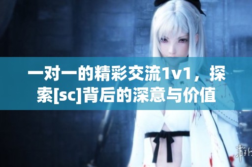 一对一的精彩交流1v1，探索[sc]背后的深意与价值