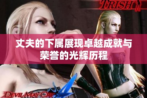 丈夫的下属展现卓越成就与荣誉的光辉历程