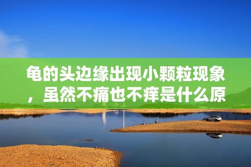 龟的头边缘出现小颗粒现象，虽然不痛也不痒是什么原因