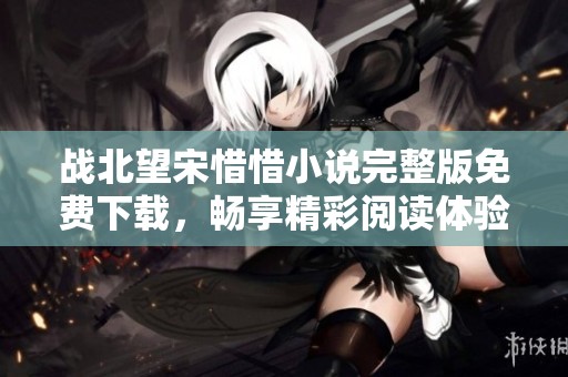 战北望宋惜惜小说完整版免费下载，畅享精彩阅读体验