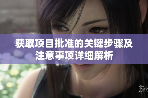 获取项目批准的关键步骤及注意事项详细解析
