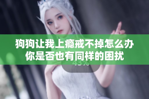 狗狗让我上瘾戒不掉怎么办你是否也有同样的困扰