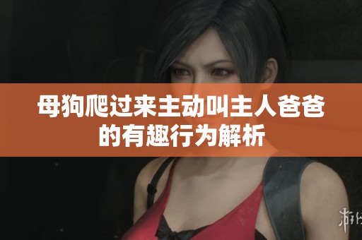母狗爬过来主动叫主人爸爸的有趣行为解析