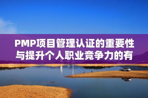 PMP项目管理认证的重要性与提升个人职业竞争力的有效策略