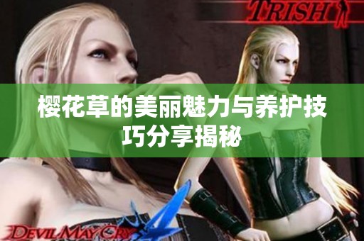 樱花草的美丽魅力与养护技巧分享揭秘